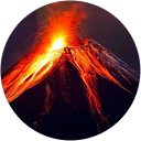 Aleksandra W. profile picture